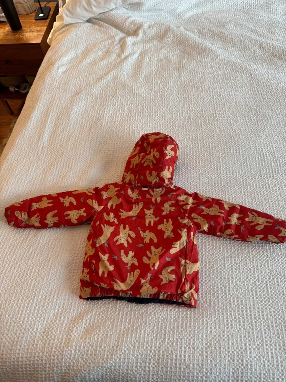 Patagonia excellent baby